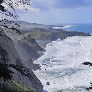 Meet your Posher, Janelle